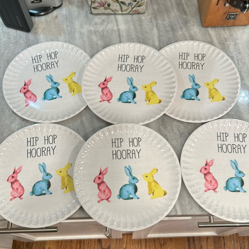 Easter plastic  set of 6 plates. the plates with rabbit design dishwasher safe